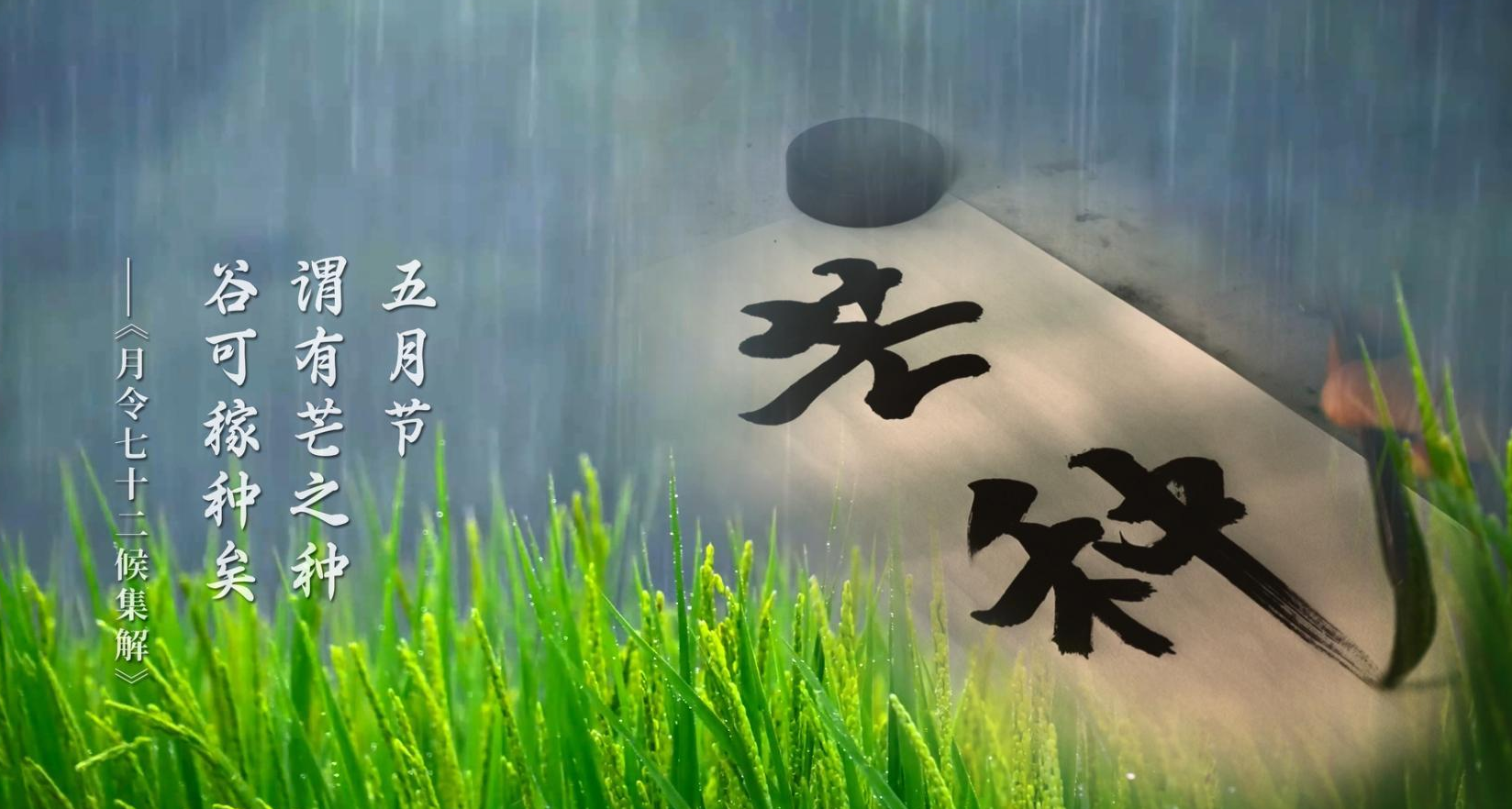 清风·传承 | 芒种：忙有所获 种有所得