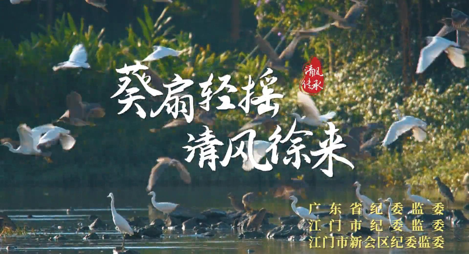 清风·传承 |夏至：葵扇轻摇，清风徐来